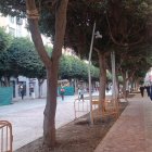 Imagen de las luminarias que se han colocado en el Paseo de Almería