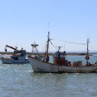 La flota de arrastre tiene en la de Navidad sus días de mejores precios.