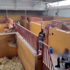 Los agentes han intervenido Tres explotaciones agrícolas, dos fincas de recreo, una nave industrial, una villa  de lujo,12 fincas urbanas y  agrícolas entre otras.