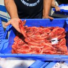 La gamba roja es la estrella de las lonjas almerienses.