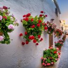 Una de las floreadas calles de Lucainena de las Torres.