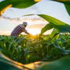 Bruselas avanza mejoras presupuestarias en la futura PAC, en busca del sí a Mercosur