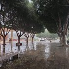 Foto de una zona arbolada de la capital este miércoles