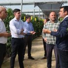 El concejal de Agricultura, Manuel Martínez, junto al delegado territorial de Agricultura de la Junta de Andalucía en Almería, Antonio Mena.