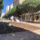 Ya se pueden comprobar los primeros trabajos para la reducción de los parterres