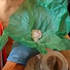 Imagen de archivo de cocaína incautada por la Guardia Civil.