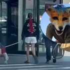 ¿Los 'therian' llegan a Almería?: la tendencia viral entre jóvenes que ladran y andan a cuatro patas