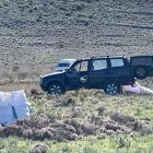 Imagen hecha pública por Amigos del Parque Natural Cabo de Gata-Níjar.