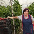 Rosario Milán en uno de sus invernaderos.