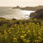 MARIAN LEON - EUROPA PRESS