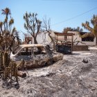 El incendio en Los Gallardos y Bédar causó 14 muertes.

Francisco J. Olmo / Europa Press
12/7/2026