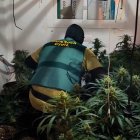 GUARDIA CIVIL