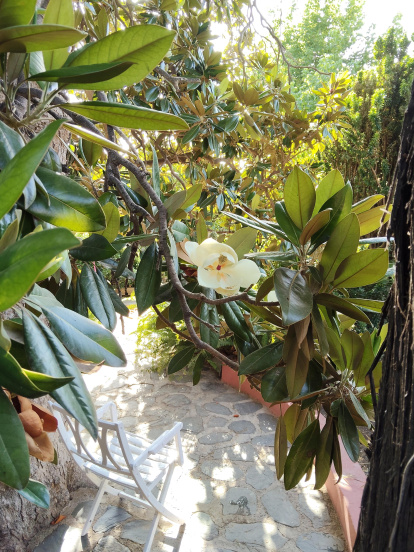 El jardín-huerto Villa María.