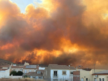 Incendio forestal en Los Gallardos.
