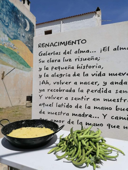 Imagen de uno de los muros de Almócita.