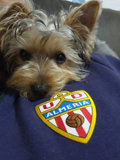 Siempre rodeado de detalles del Almería.