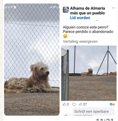 Imagen difundida del supuesto Billy en el grupo de Alhama de Almería