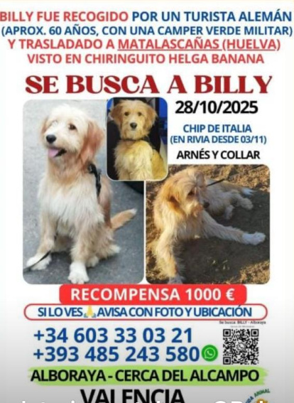 Cartel de búsqueda de Billy