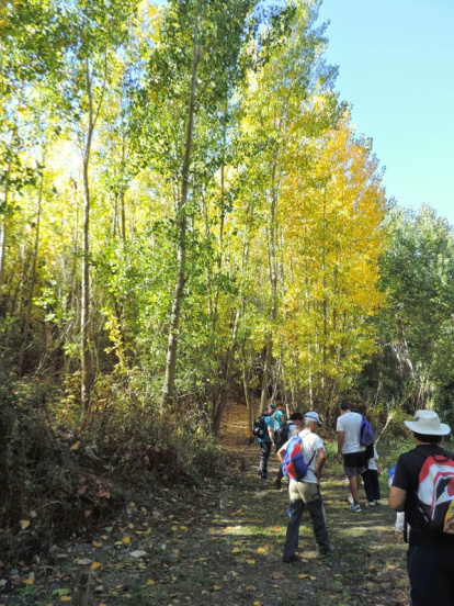 Alameda del Río Andarax.