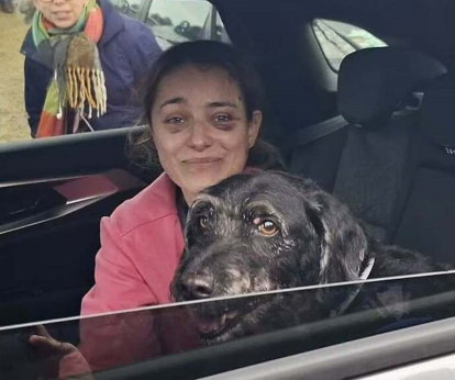 Boro volvió junto a su dueña.