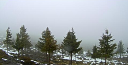 En Calar Alto la subida de temperaturas y la lluvia provocan el deshielo.