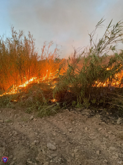 Incendio en Uleila del Campo.