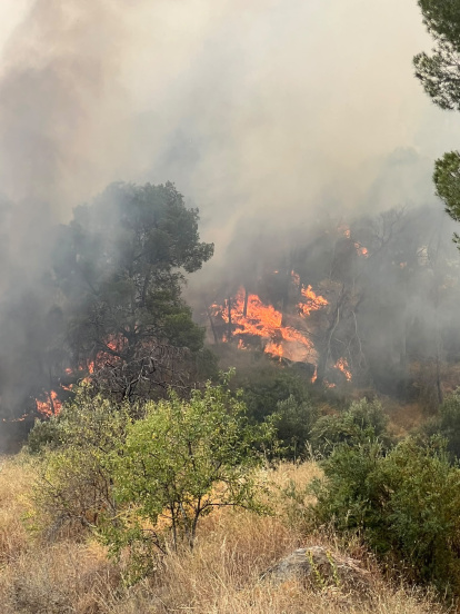 Incendio en el entorno de la Cresta del Gallo, en las cercanías de Murcia.