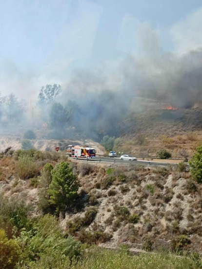 Incendio forestal en Los Gallardos.