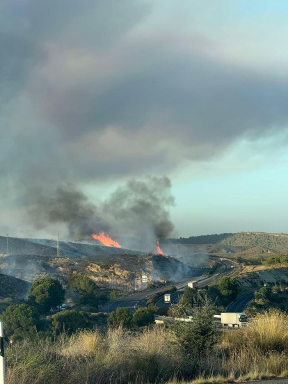 Incendio forestal en Los Gallardos.