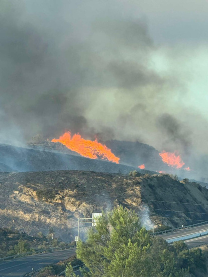 Incendio forestal en Los Gallardos.
