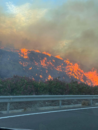 Incendio forestal en Los Gallardos.