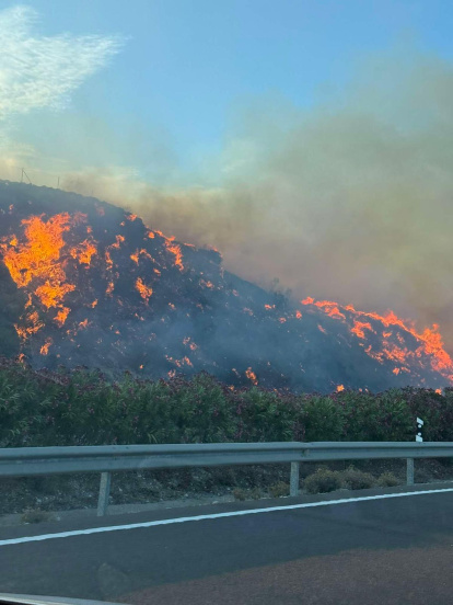 Incendio forestal en Los Gallardos.
