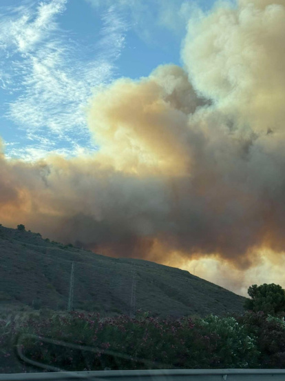 Incendio forestal en Los Gallardos.