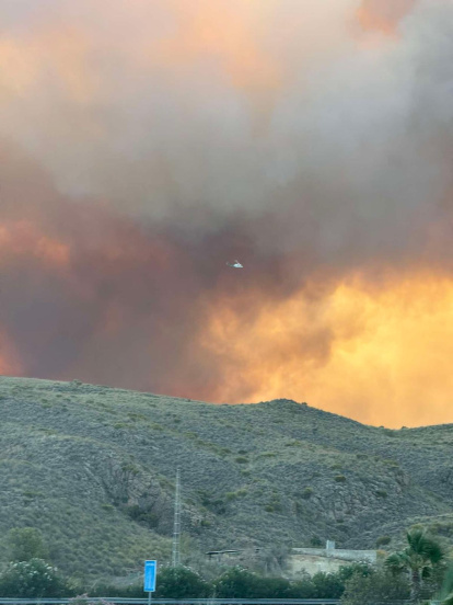 Incendio forestal en Los Gallardos.