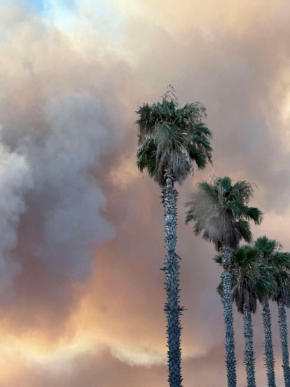 Incendio forestal en Los Gallardos.