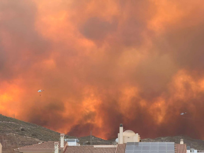 Incendio forestal en Los Gallardos.