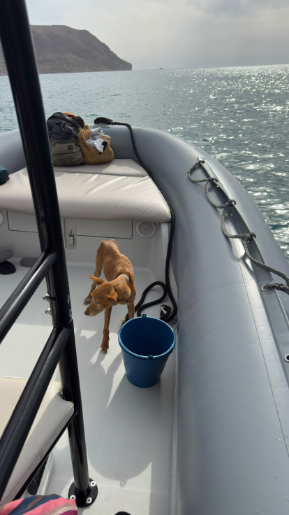 Bergantín en el barco que lo rescató.