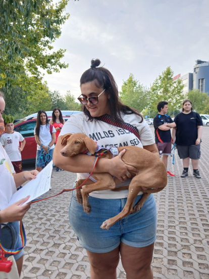 Uno de los perros de Castala junto a su nueva dueña.