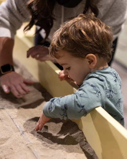 Los pequeños visitantes pueden participar en actividades de excavación.